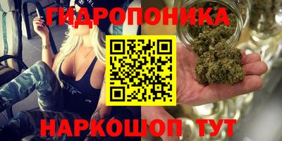 СК Камышлов
