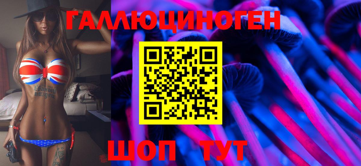Кузнецк  Псилоцибиновые грибы прущие грибы  Вход с VPN 